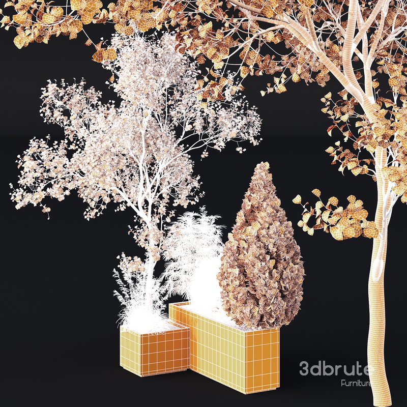 HQ Tree and bush garden box outdoor VOL 05 Image 4