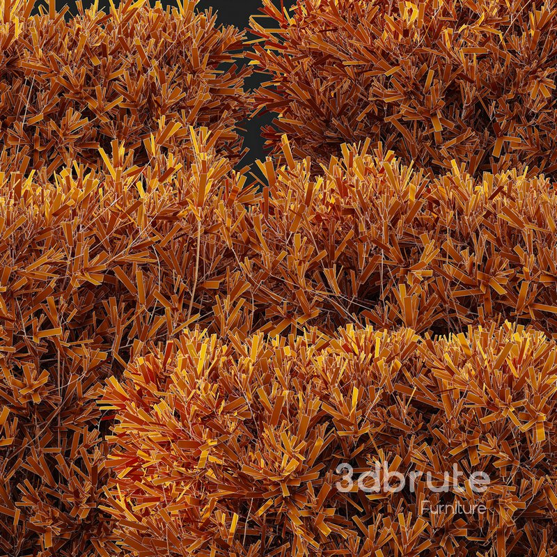 HQ Plants Montra Olive Bush Version4 Image 4