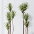 HQ Plants Yucca Elephantipes Gigantea Vase Set03 - Thumbnail 4