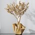 Plants Mission Olive Tree Indoor Vase Set002 - Thumbnail 4