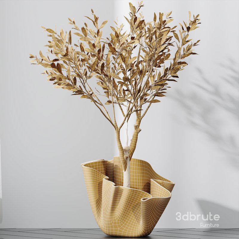 Plants Mission Olive Tree Indoor Vase Set002 Image 4