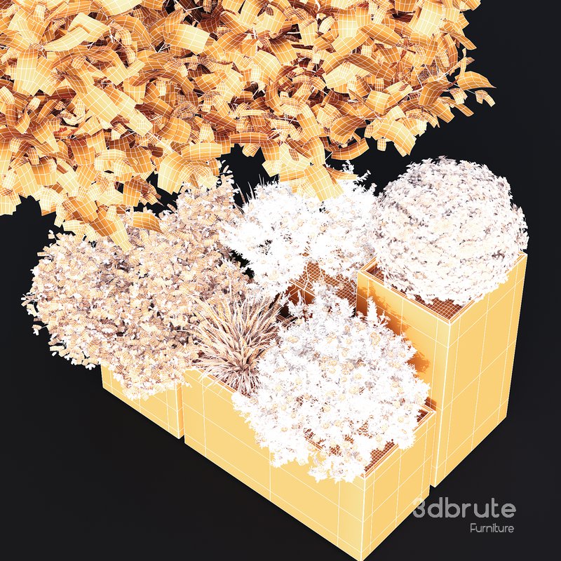 HQ Tree and bush garden box outdoor VOL 10 Image 5