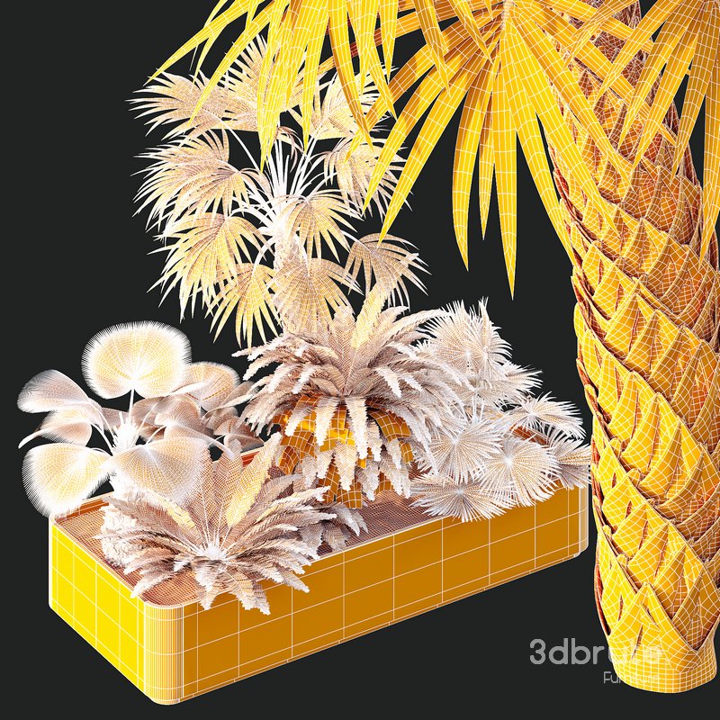 HQ Tree and bush garden box outdoor VOL 12 Image 5