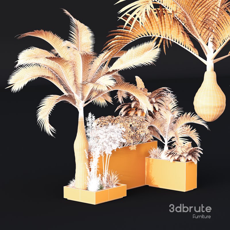 HQ Tree and bush garden box outdoor VOL 09 Image 5