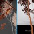 Betula Pendula and Castanea Sativa - Thumbnail 4