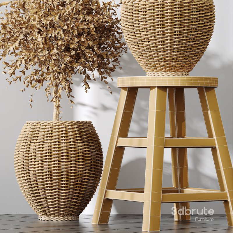 Plants Mission Olive Tree Indoor Vase Set004 Image 4