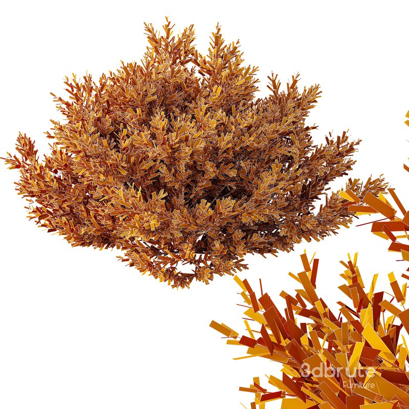 HQ Plants Montra Olive Bush Version6 Image 4