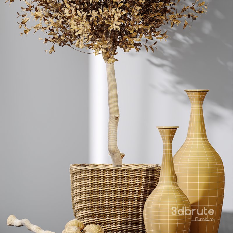 HQ Plants Mission Olive Tree Indoor Vase Set005 Image 4