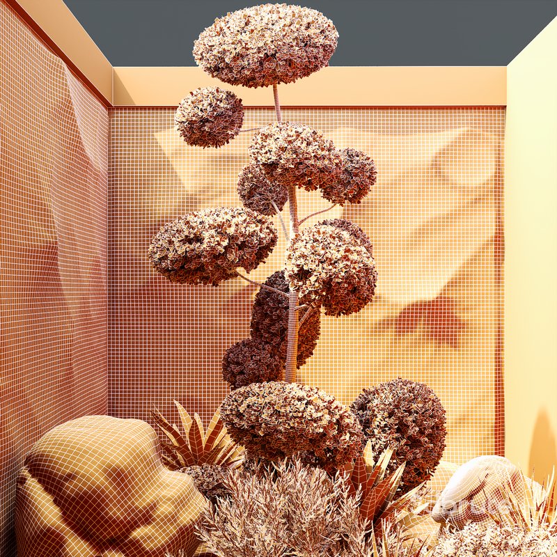 HQ Plants Indoor Set Box Glass Image 4