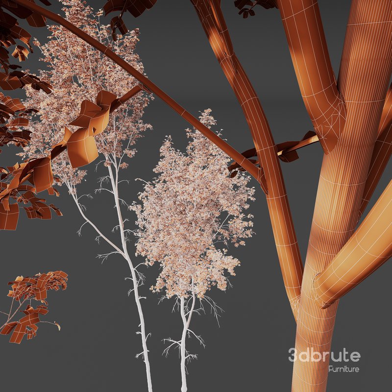 Betula Pendula and Castanea Sativa Image 6