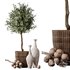 HQ Plants Mission Olive Tree Indoor Vase Set005 - Thumbnail 5