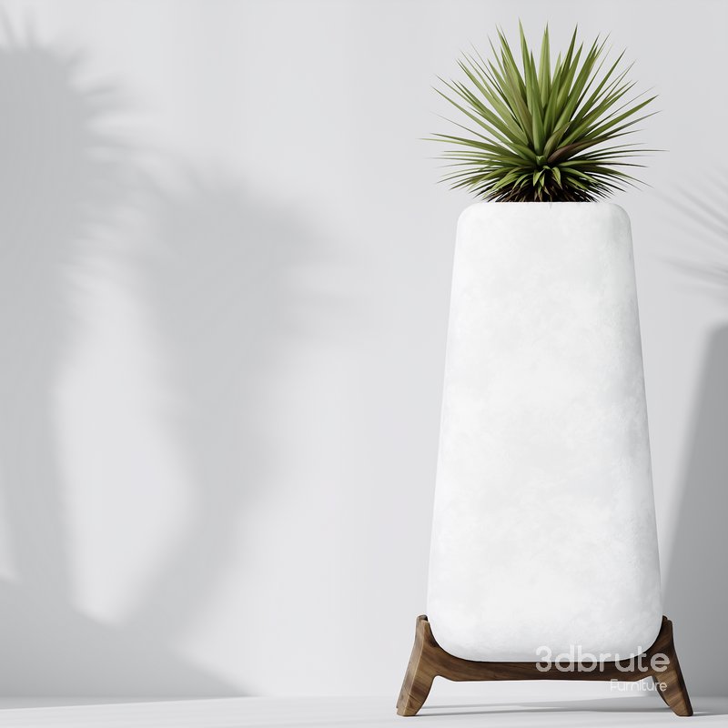 HQ Plants Yucca Elephantipes Valida Vase Set01 Image 5