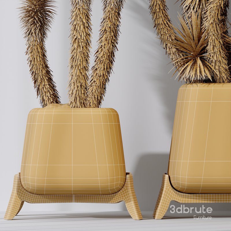 HQ Plants Yucca Elephantipes Valida Vase Set01 Image 6