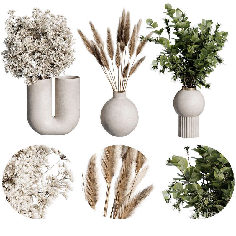 Bouquet Indoor Plant 09 Image 1