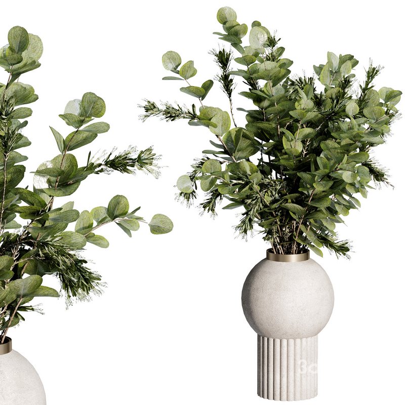 Bouquet Indoor Plant 09 Image 3