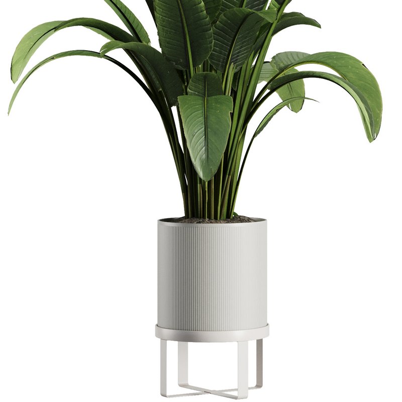 Indoor Plant Set V39 Image 2