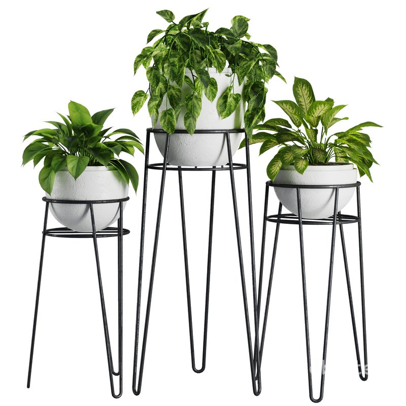 Indoor Plant Set V38 Image 1