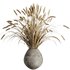 Dry grass pampas Bouquet4 - Thumbnail 1