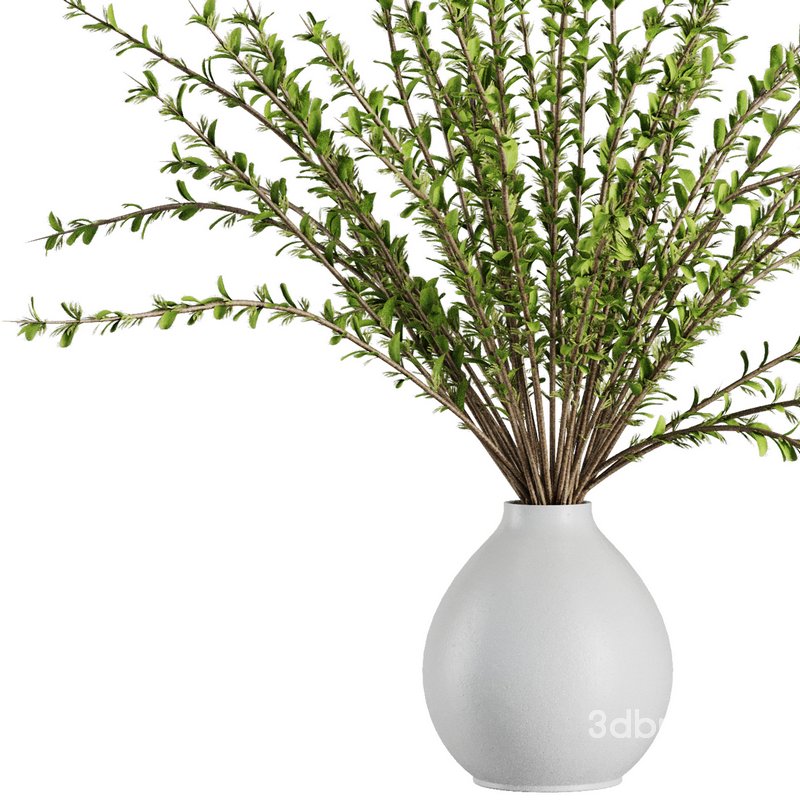 Dry Flower Branche Bouquet12 Image 2