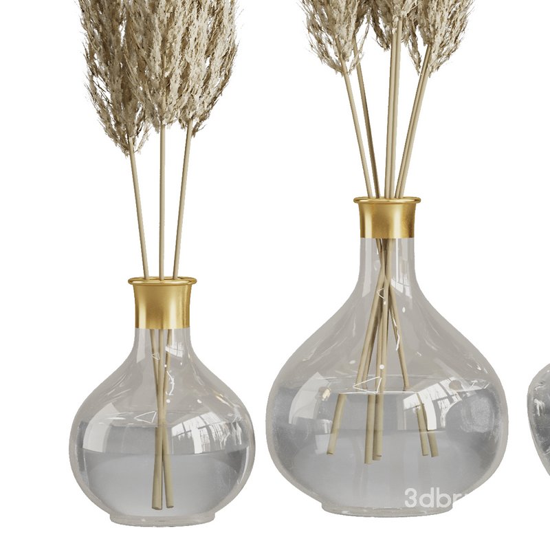 Pampas in glass vase Image 2