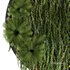 Circle Green Wall Plants - Thumbnail 2