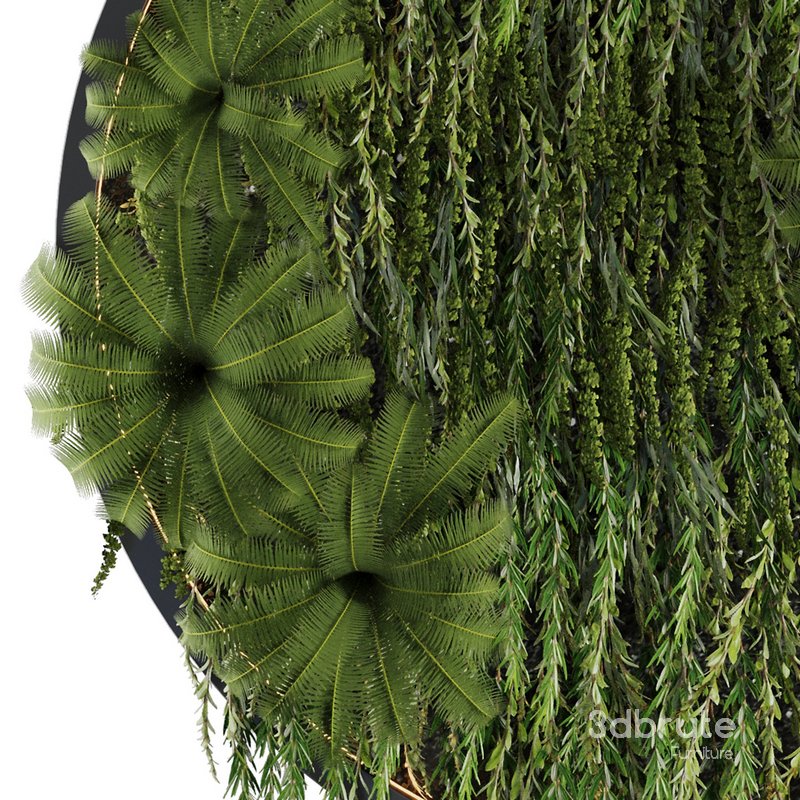 Circle Green Wall Plants Image 2