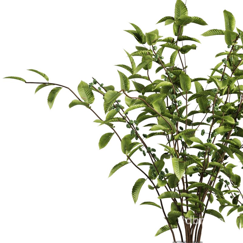 Bouquet Vase Set5 Image 2