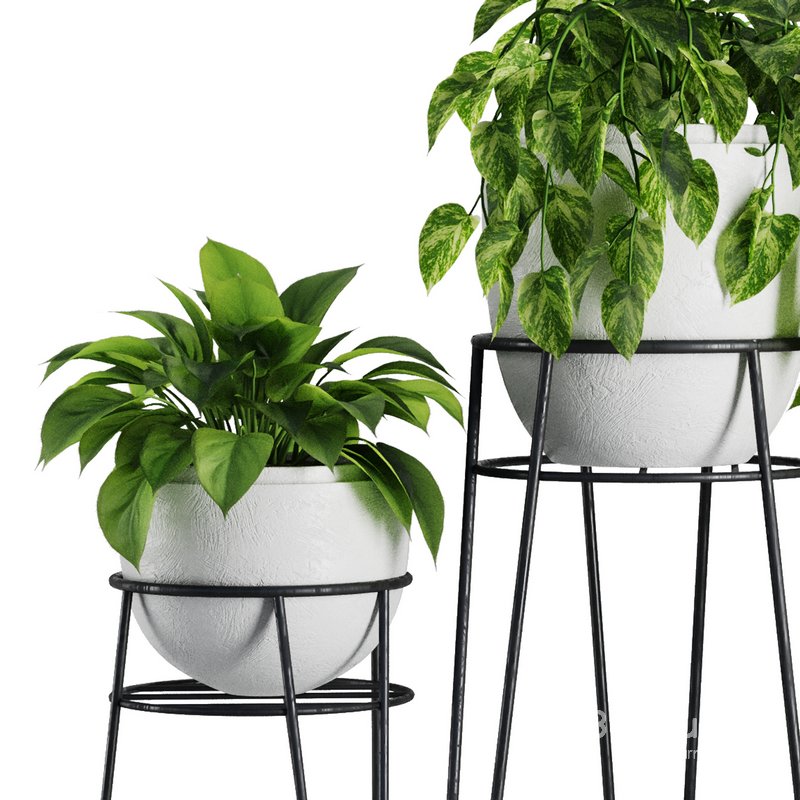 Indoor Plant Set V38 Image 2