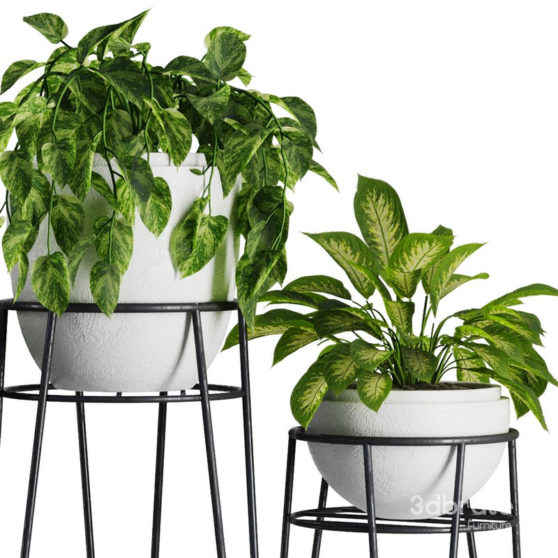 Indoor Plant Set V38 Image 3