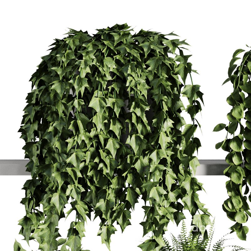 Plants on Shelf SetV7 Image 3