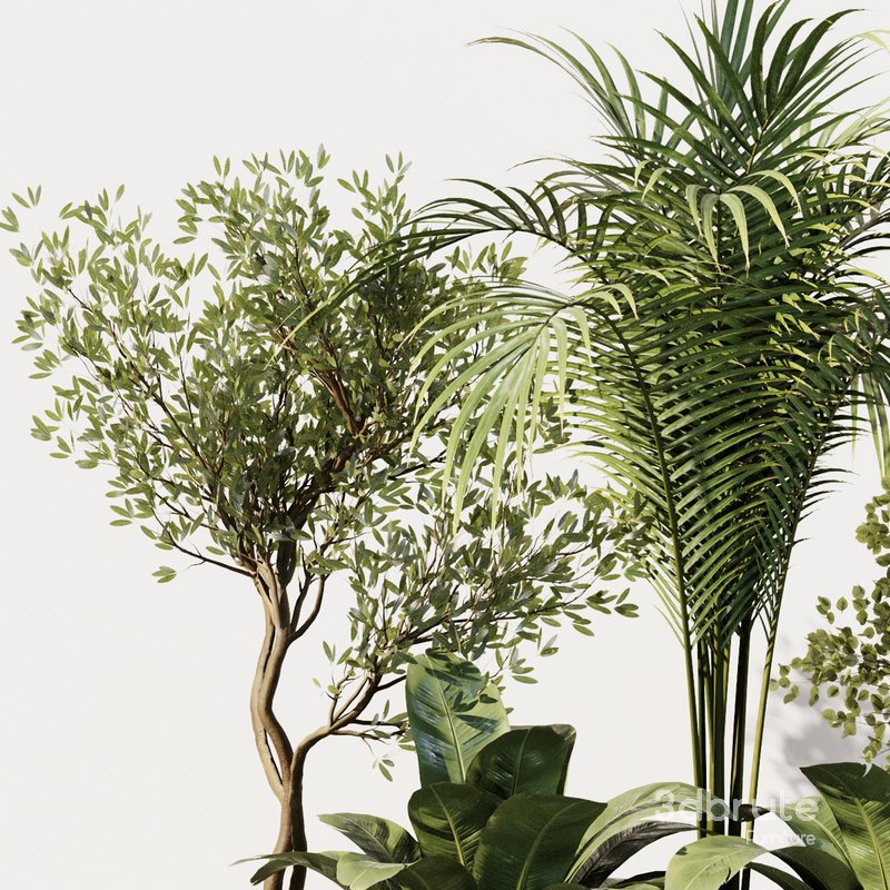 Indoor Plant Set40 Image 2