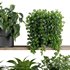 Plants on Shelf SetV6 - Thumbnail 4