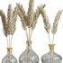 Pampas in glass vase - Thumbnail 3