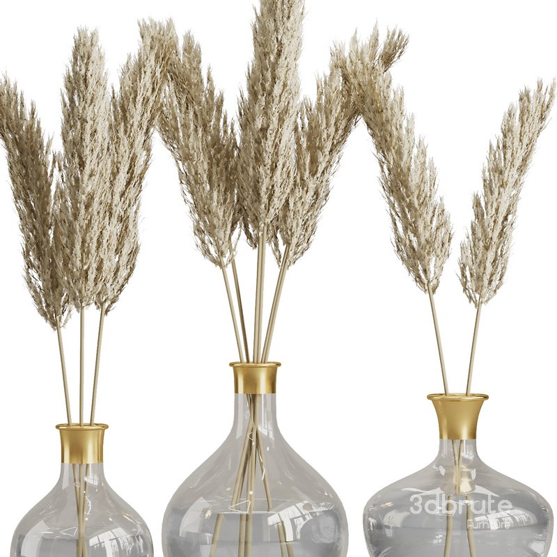 Pampas in glass vase Image 3