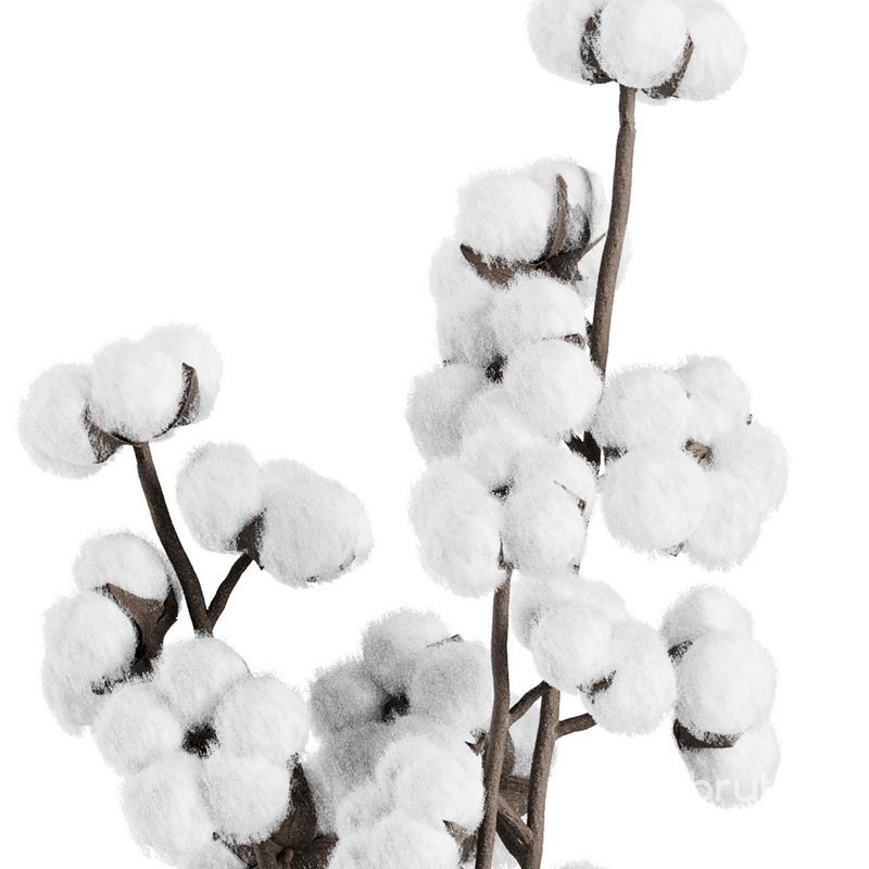 Cotton Flower Bouquet16 Image 3