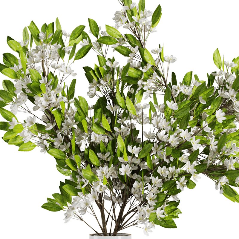 Flower Bouquet15 Image 4