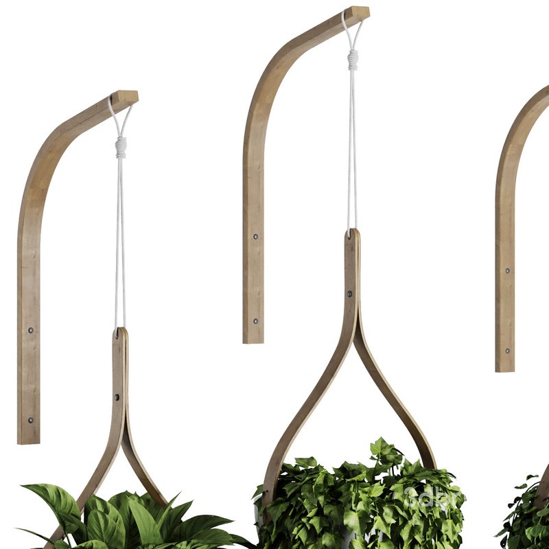 Hanging Indoor Plant – SetV6 Image 4