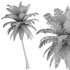 Hawaii Palm Tree - Thumbnail 4