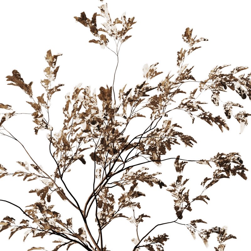 Dry Flower Bouquet8 Image 4