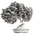 Bonsai Tree set4 - Thumbnail 3