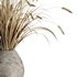 Dry grass pampas Bouquet4 - Thumbnail 4