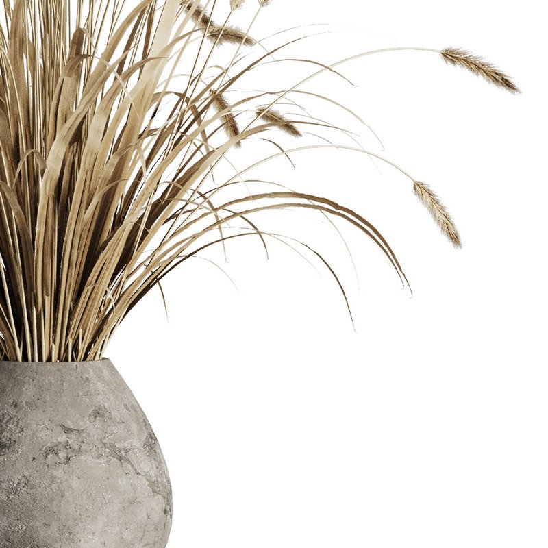 Dry grass pampas Bouquet4 Image 4