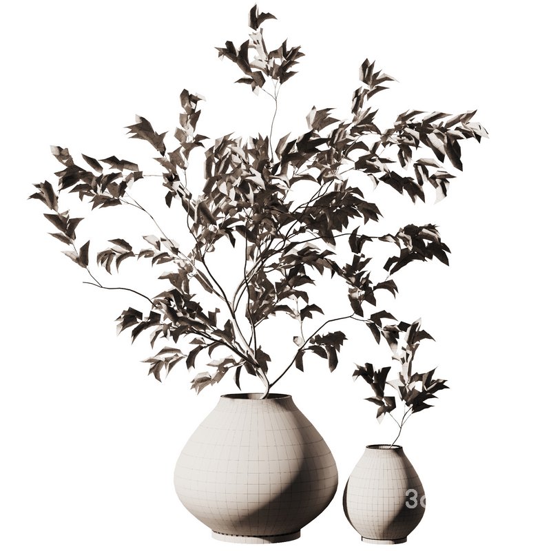 Dry Flower Bouquet8 Image 5