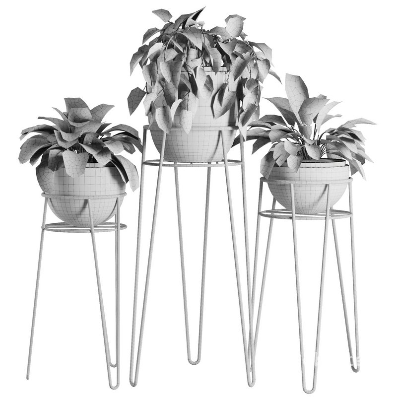 Indoor Plant Set V38 Image 5