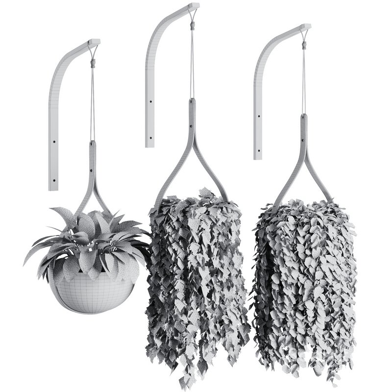 Hanging Indoor Plant – SetV6 Image 5