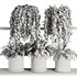 Plants on Shelf SetV7 - Thumbnail 6