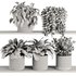 Plants on Shelf SetV6 - Thumbnail 6