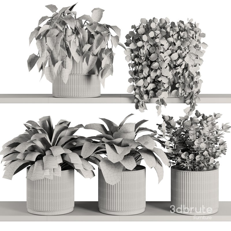 Plants on Shelf SetV6 Image 6