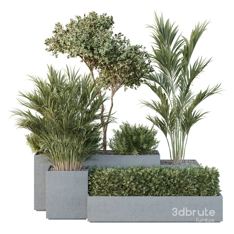 HQ Tree and bush garden box outdoor VOL 28 Image 1