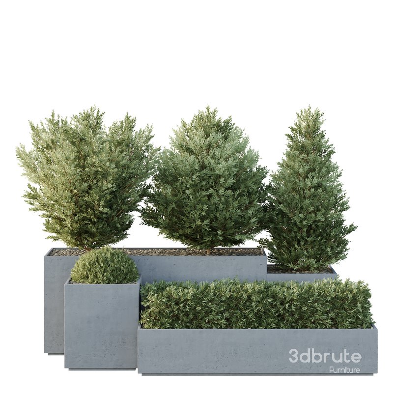 HQ Tree and bush garden box outdoor VOL 27 Image 1